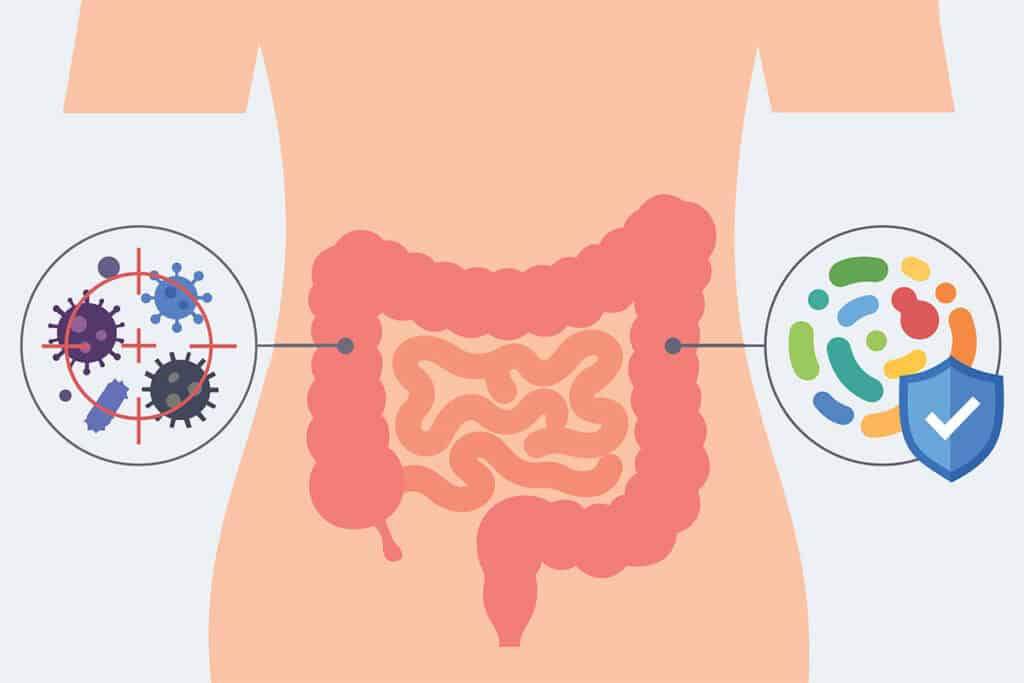 Gum Disease and Gut Health: Understanding the Link